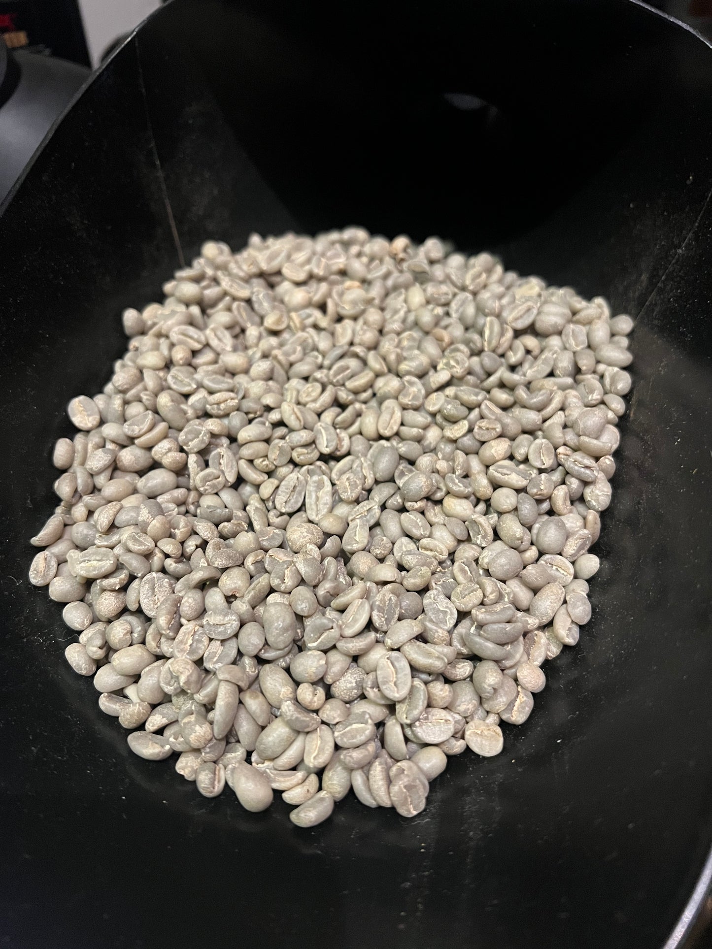 エチオピア ベンチマジ グジ ゲイシャ ウォッシュト ミディアムライトロースト